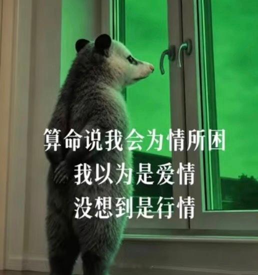 为情所困