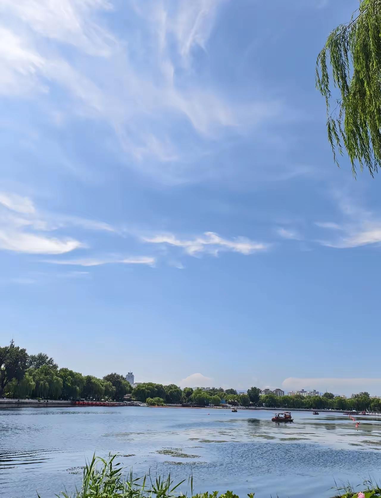 我爸常年贴补小叔，却舍不得给我妈10块钱买碗，一句话撕破家里偏心真相
 
我爸一