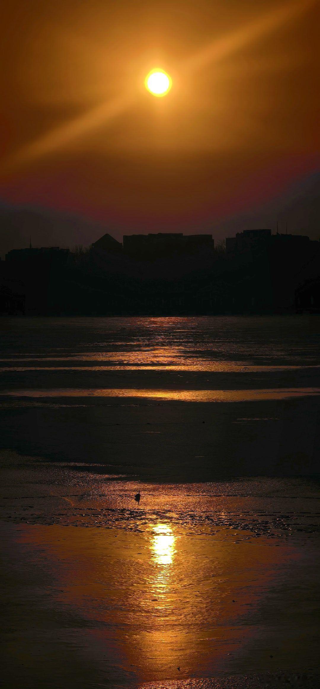 冬日玉渊潭公园的早晨  摄影