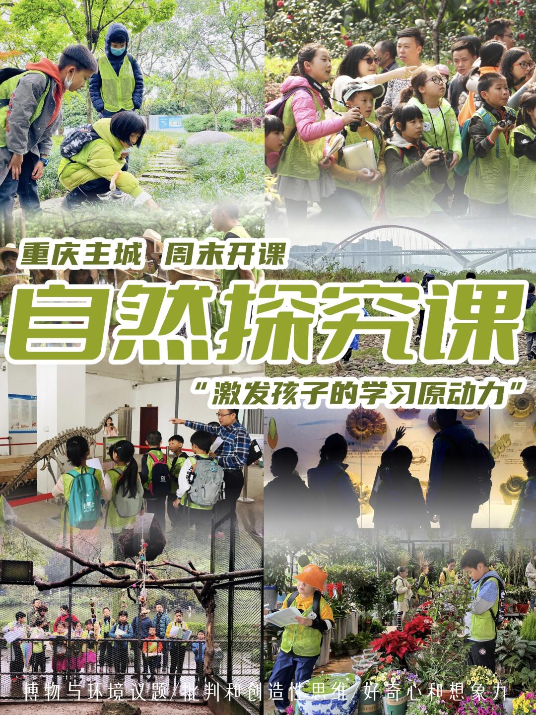自然体验｜每周半天用自然点亮孩子眼里的光