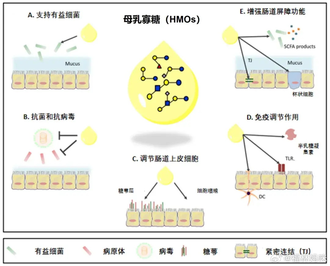#卫健委正式批准HMO原料于奶粉中使用#  [举手]什么是母乳低聚糖（HMO）？