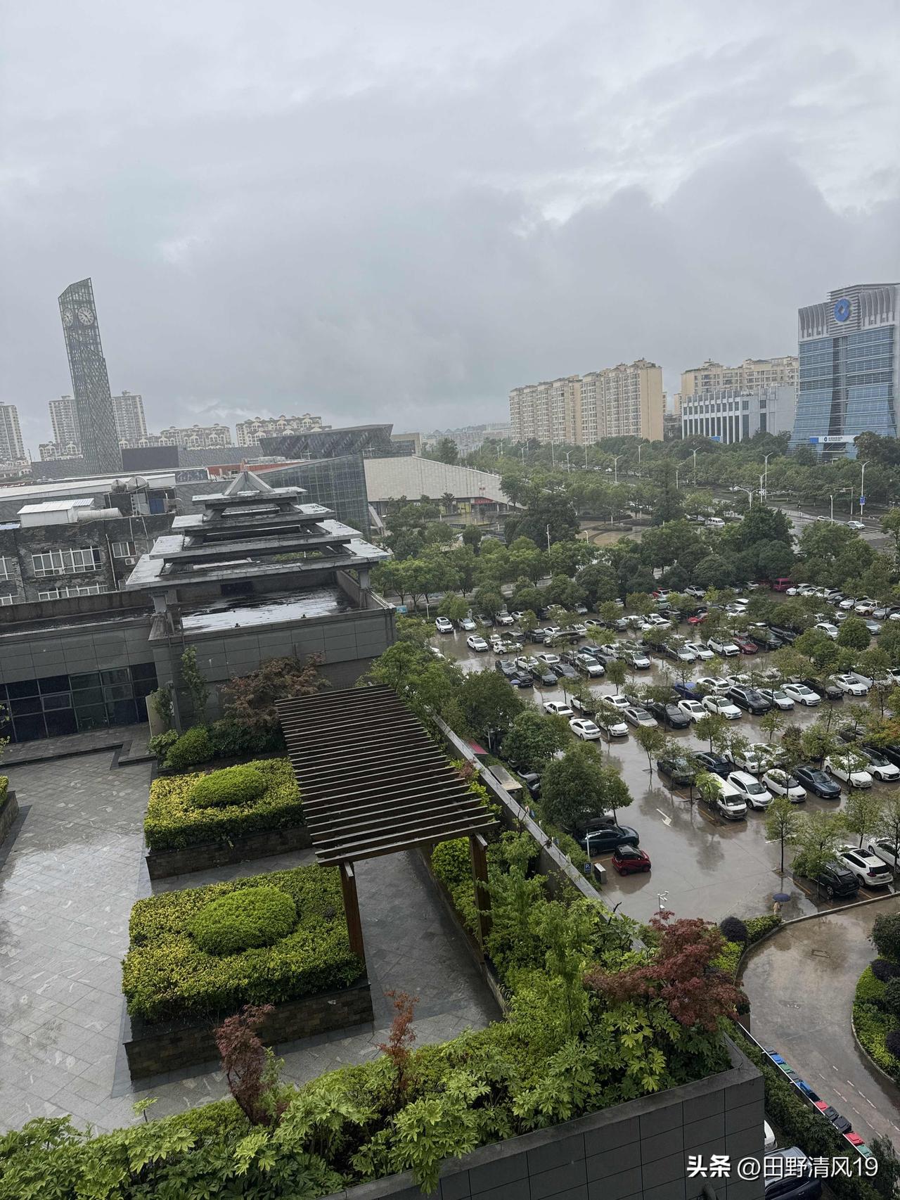 终于下雨啦！
长时间不下雨，实在闷热难耐。这场雨下得真爽，从昨天晚上一直没停。雨