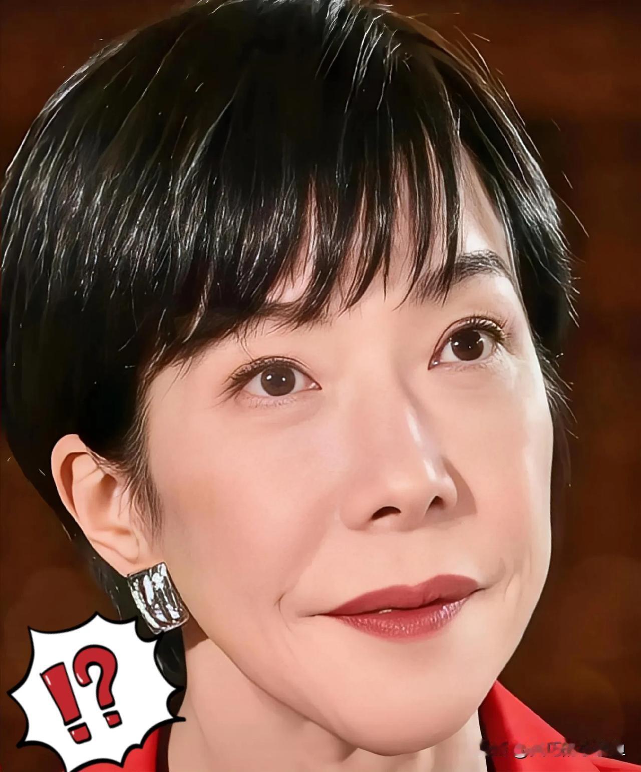 日本又有新动作了！

据央视新闻消息，日本政府计划2026年夏天先搞出个概要方案