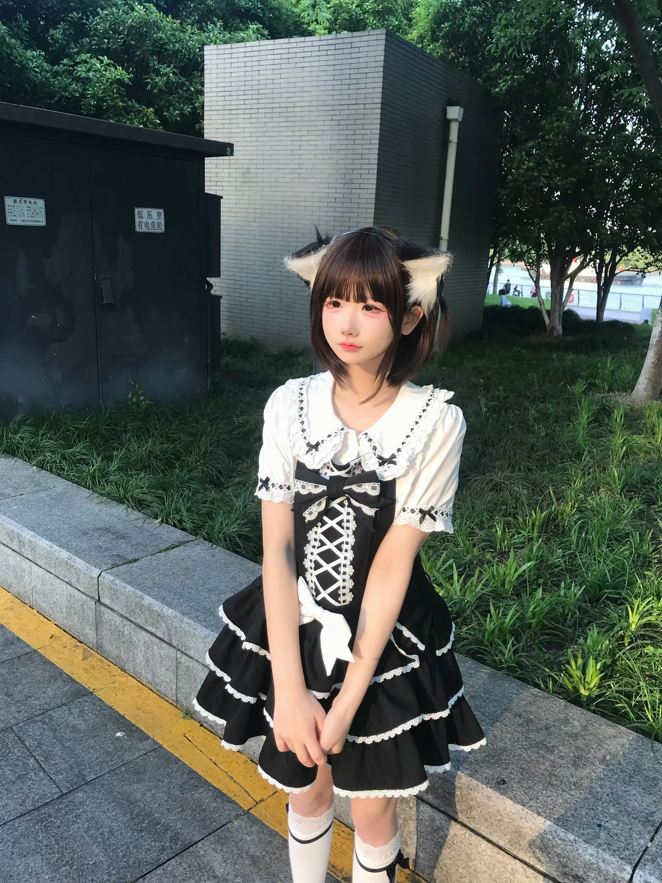 做我的猫
