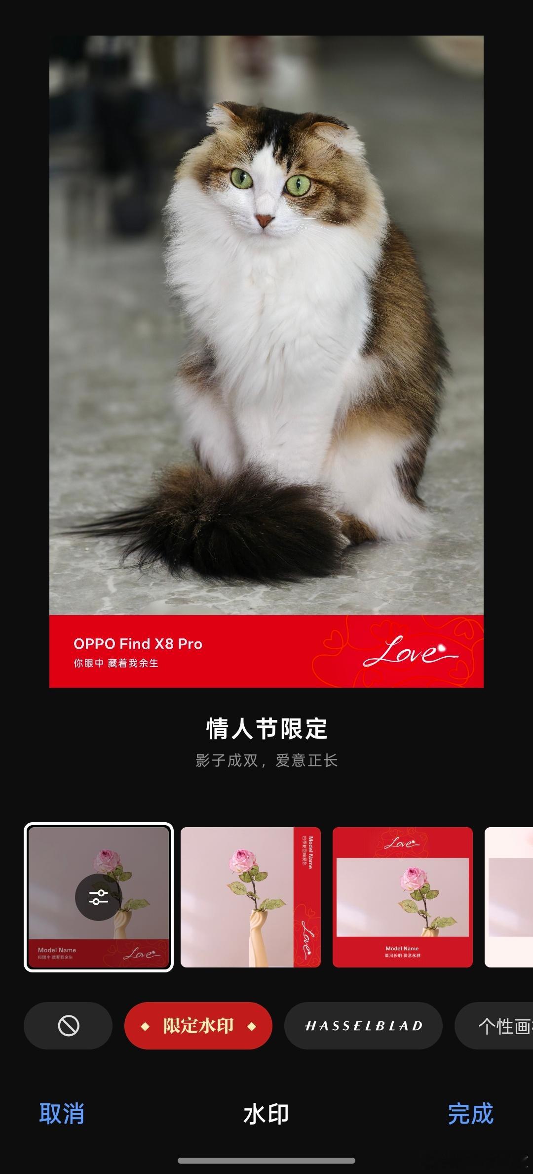 大家情人节快乐呀！[兔子]OPPO这个情人节限定水印挺好看诶！[送花花]  