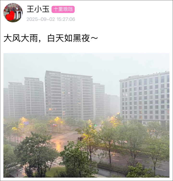 平均气温创新高、高温日数破纪录、春花秋开樱桂同框……2025年杭州十大气候事件出炉