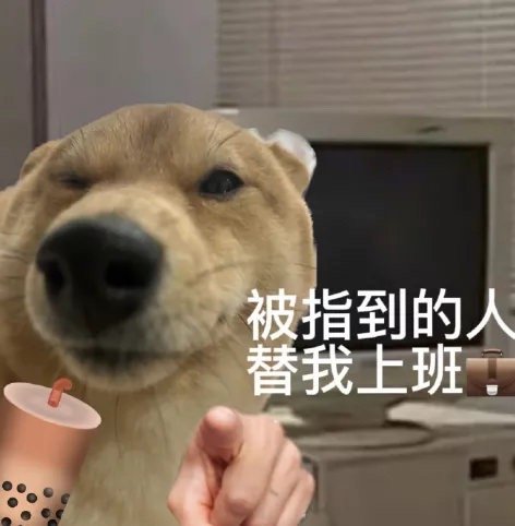 又到周一了，有没有人替我上班 ​​​