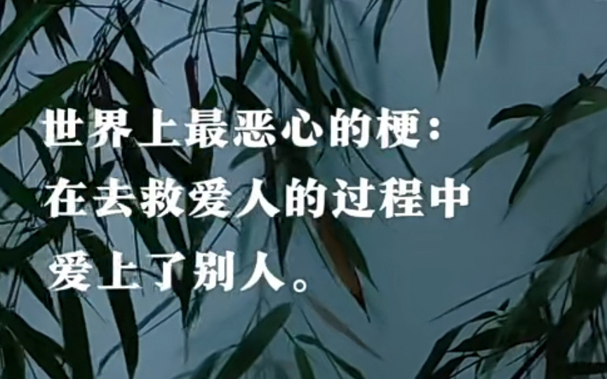 对不起我不应该去买火鸡面的路上爱上了酸辣粉