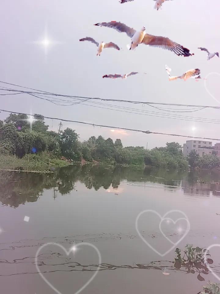 夏日生活打卡季