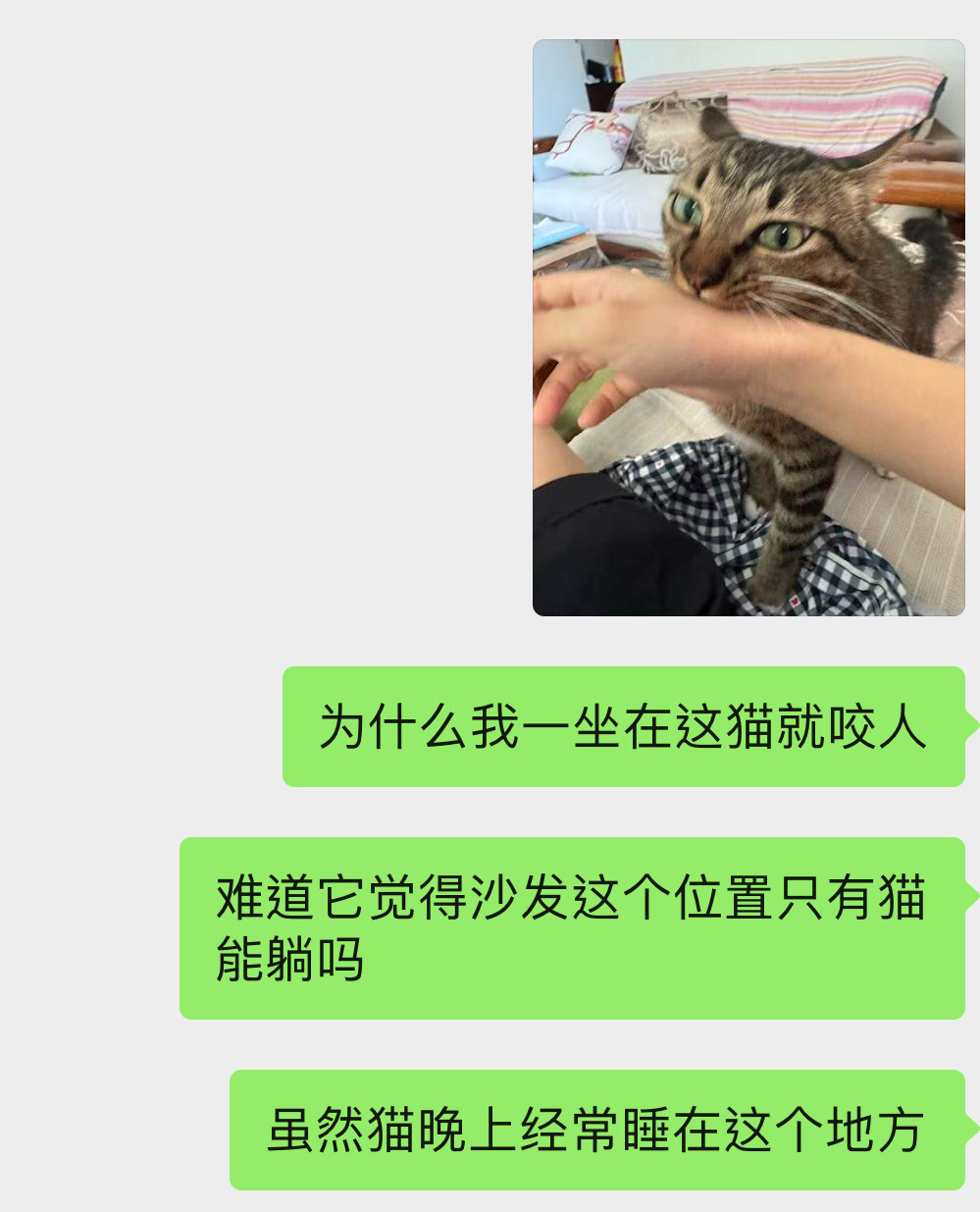 15763只狸心灵丑