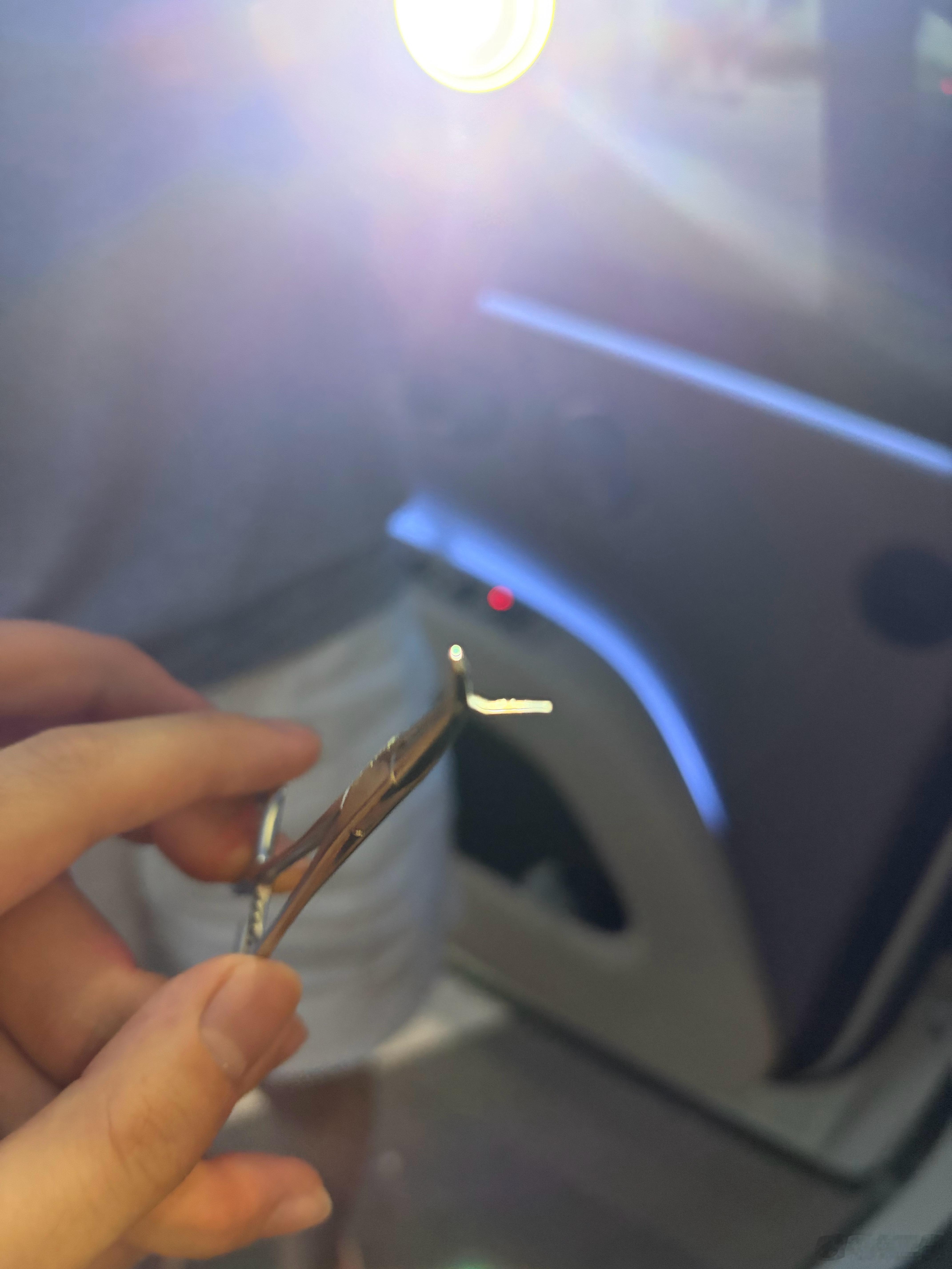解锁人生新体验：卡鱼刺
