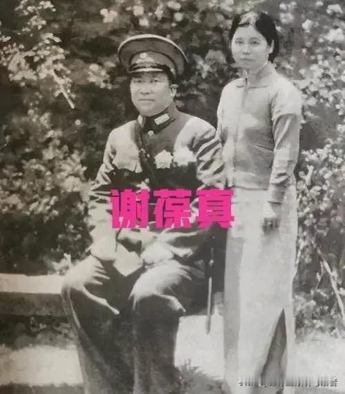 1947年，特务将杨虎城的夫人谢葆真牢牢捆住，扯下她的裤子后，用针头扎进她的大腿