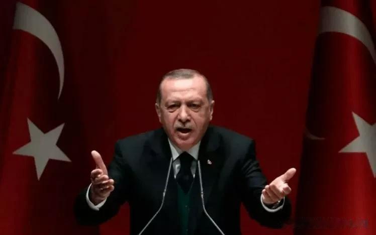 埃尔多安致电普京、泽连斯基，提议……

来源:海峡快讯

近日，位于赫尔松地区的