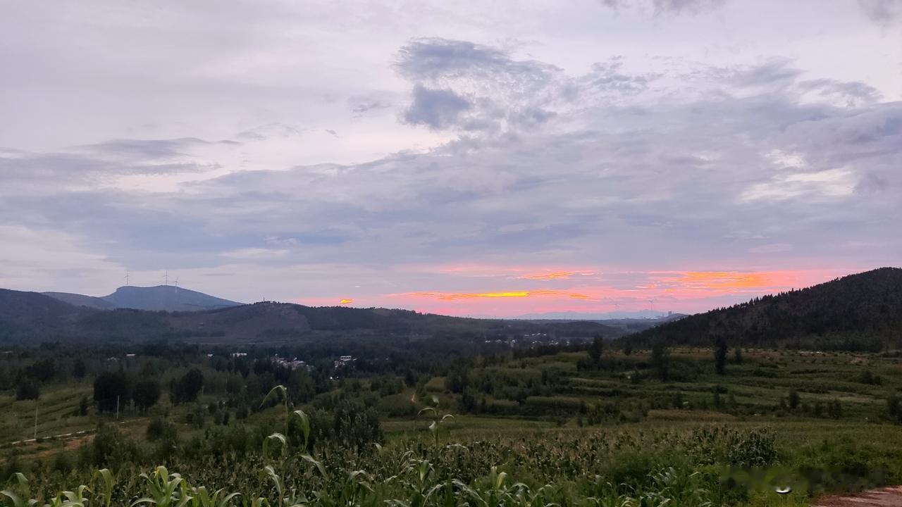 站在田间望向远方，整片山野都浸在黄昏的柔光里。
 
前景的玉米苗长势喜人，层层梯
