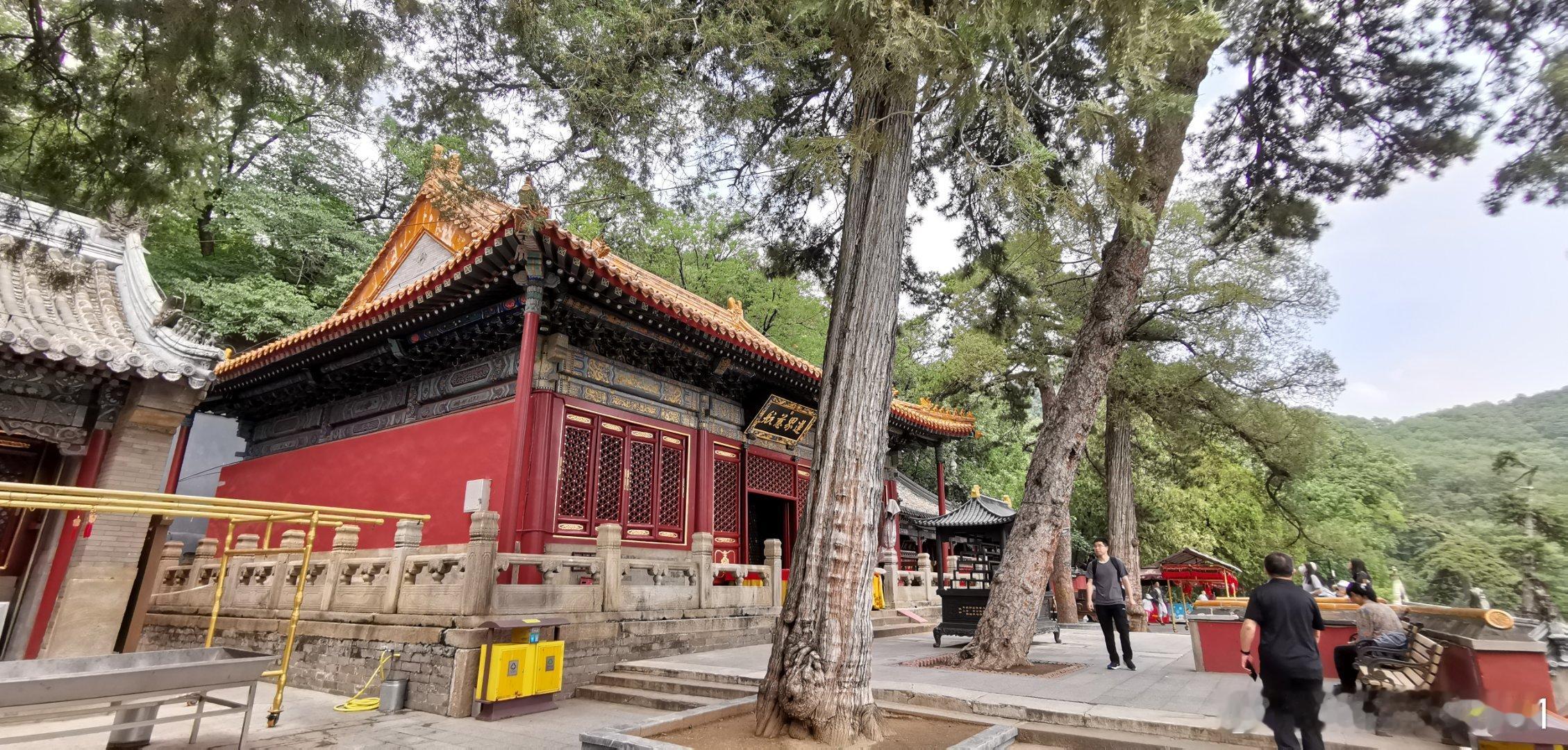 讲规律，就是乐观主义；讲命运，就是悲观主义。    ——木心  ​（北京  西山