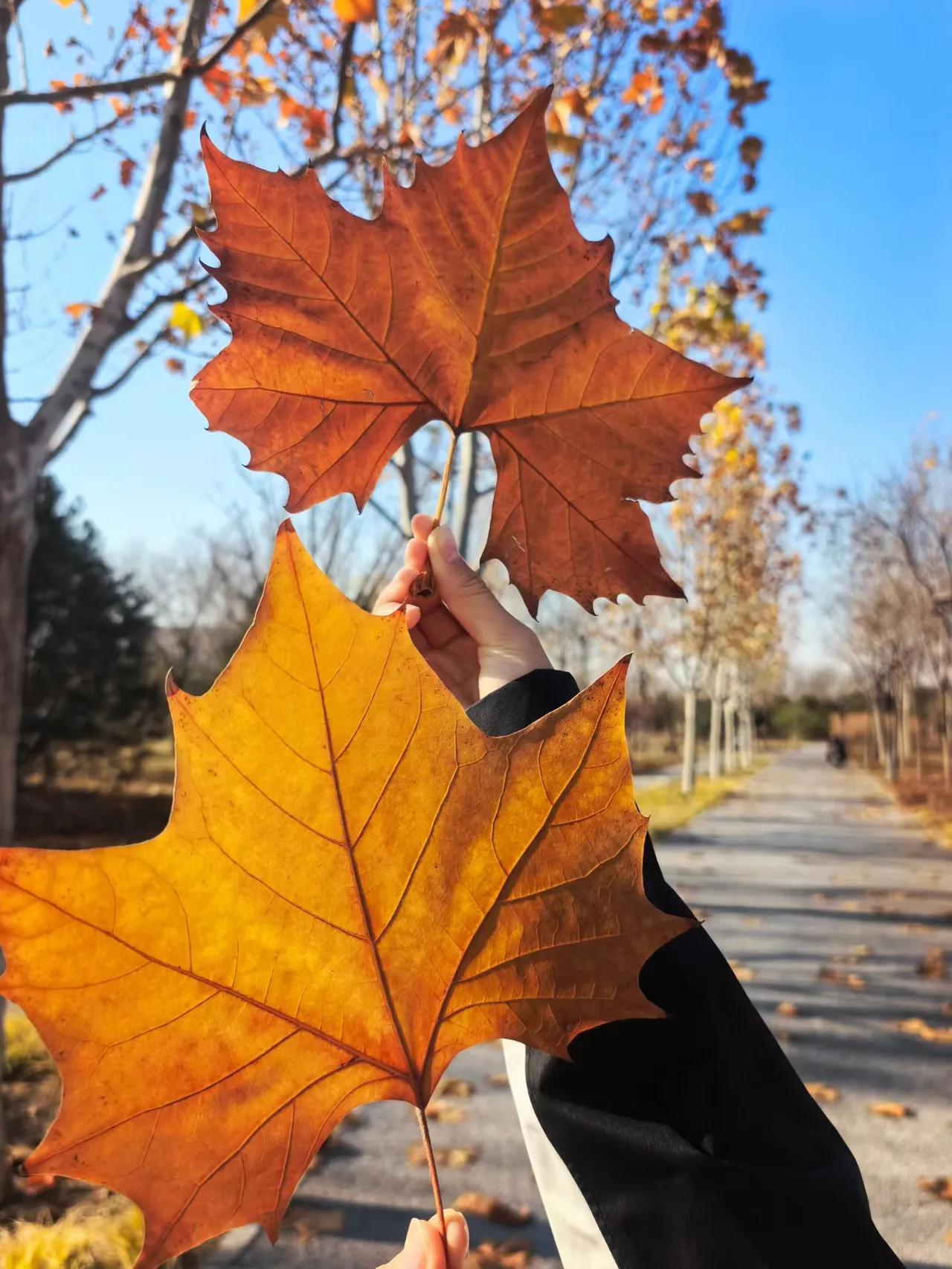 钱是老人晚年生活的底气，自己有钱才是硬道理

儿时老人言：山珍海味离不开盐，油盐