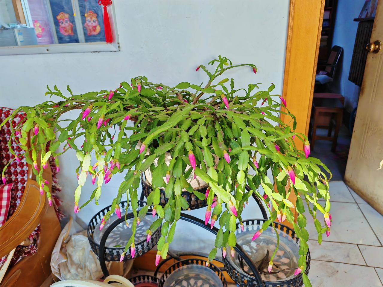 在生活中我们会遇到形形色色的人，有一种人，他们喜欢抬杠、喜欢怼人，不管你说的是否