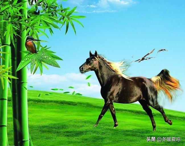 属马的女人，自带一身洒脱傲气。
 
不爱委曲求全，不屑看人脸色过日子。
 
性格