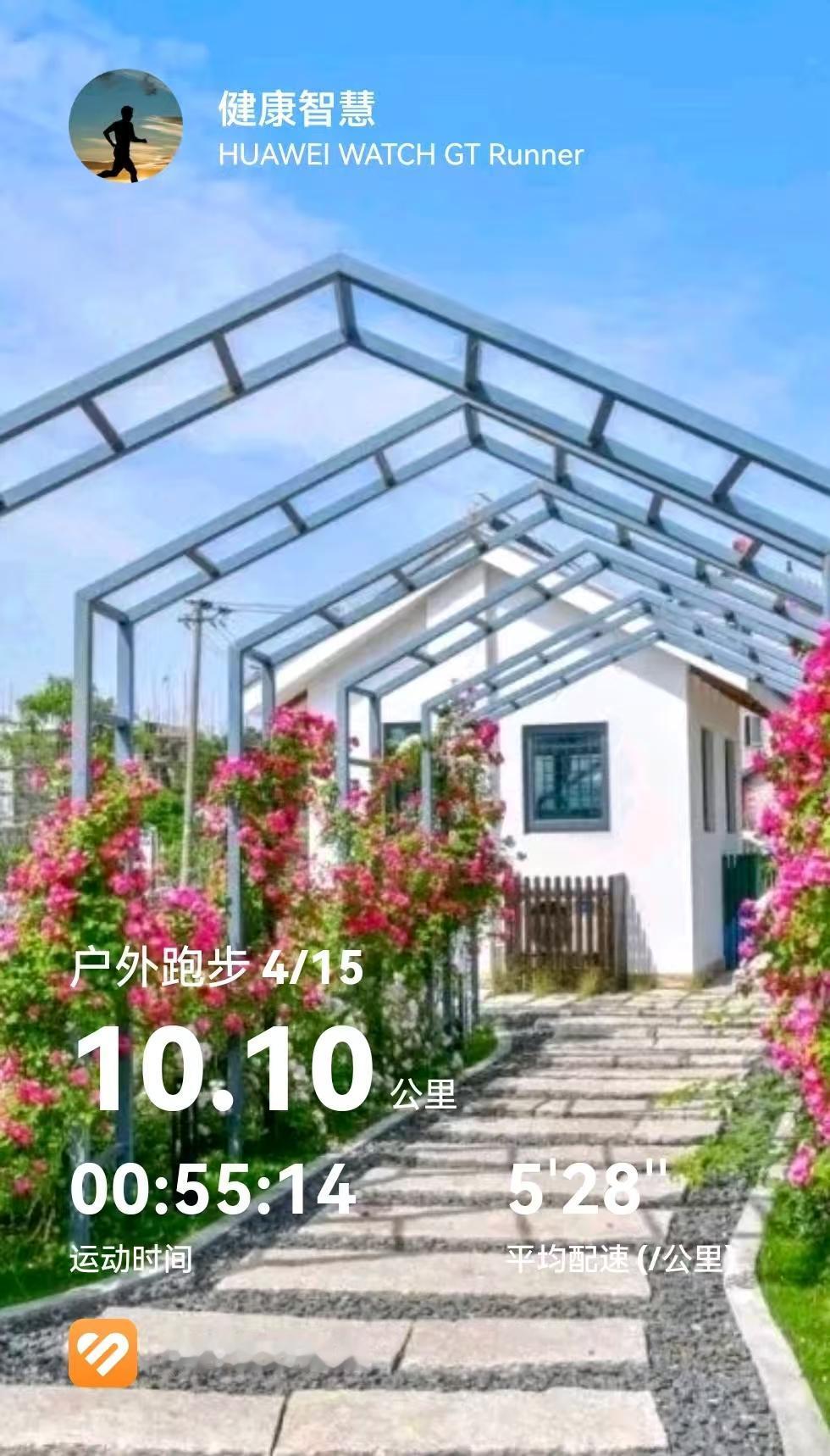 跑跑写写——如果对战争说一句话，我会说什么？

如果对战争说一句话，我会说什么？