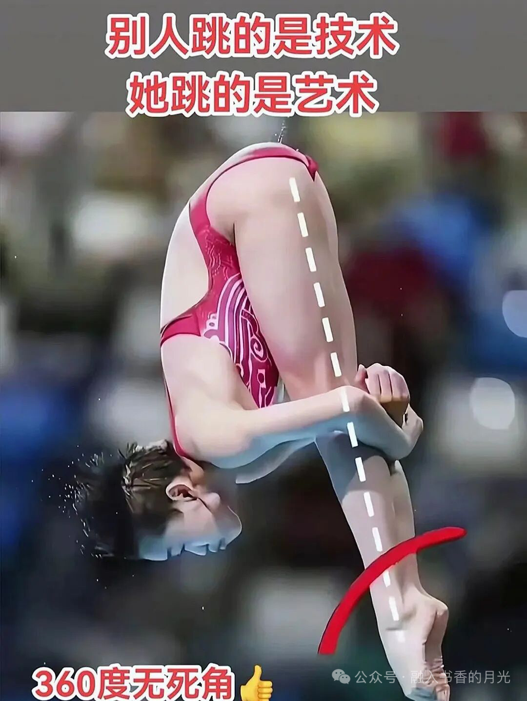 奥运冠军被人霸凌和欺负，真是开眼了。全红婵已报警