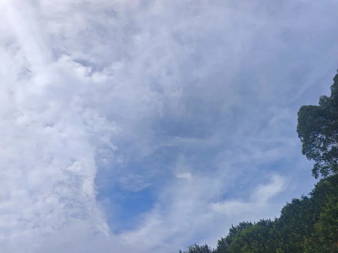 烧啊烧何时烧