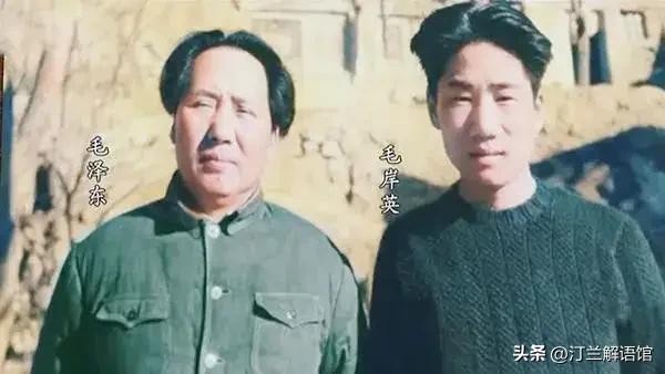 世人总将毛岸英的离去，简单归为一场战争里的不幸意外，可很少有人读懂，这不仅仅是一
