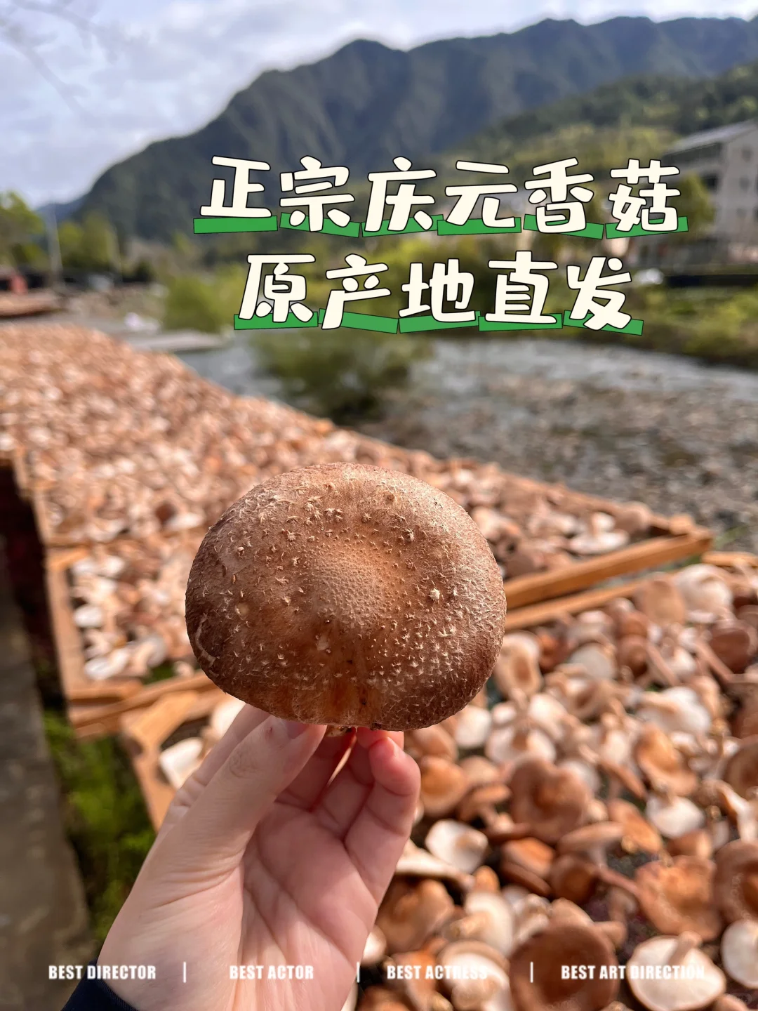 吃过庆元香菇真的很难接受其他香菇了👍