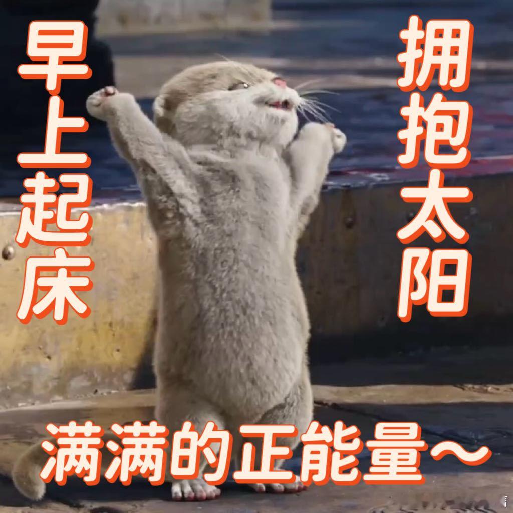王影璐献鱼邪恶小水獭 《献鱼》里王影璐演的邪恶小水獭版廖停雁一上线，直接萌到我心