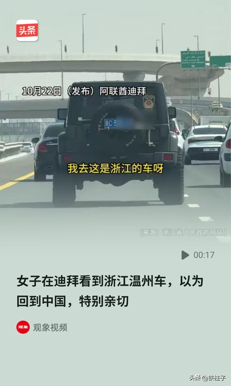 女子在迪拜生活十年，思乡心切，突然在路上看到一辆温州车，随即拦下车主，激动握手，