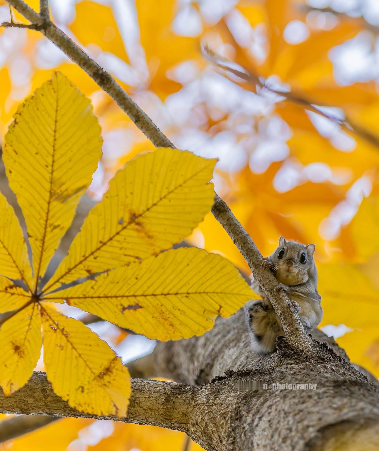 四季与你~[雪花][微风][鲜花]🍂【ins：hirokirin_photog