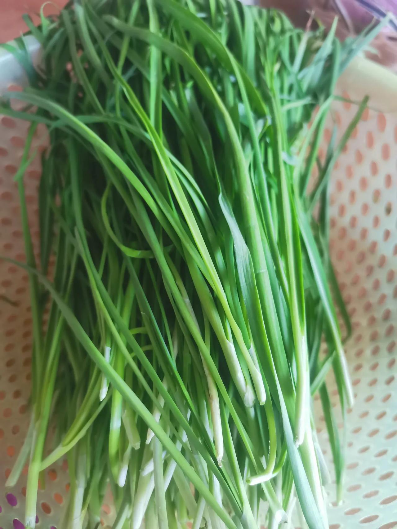 这是本地的土韭菜，非常细、非常嫩。
不好之处是叶尖黄了一段，一根根理，花了我40