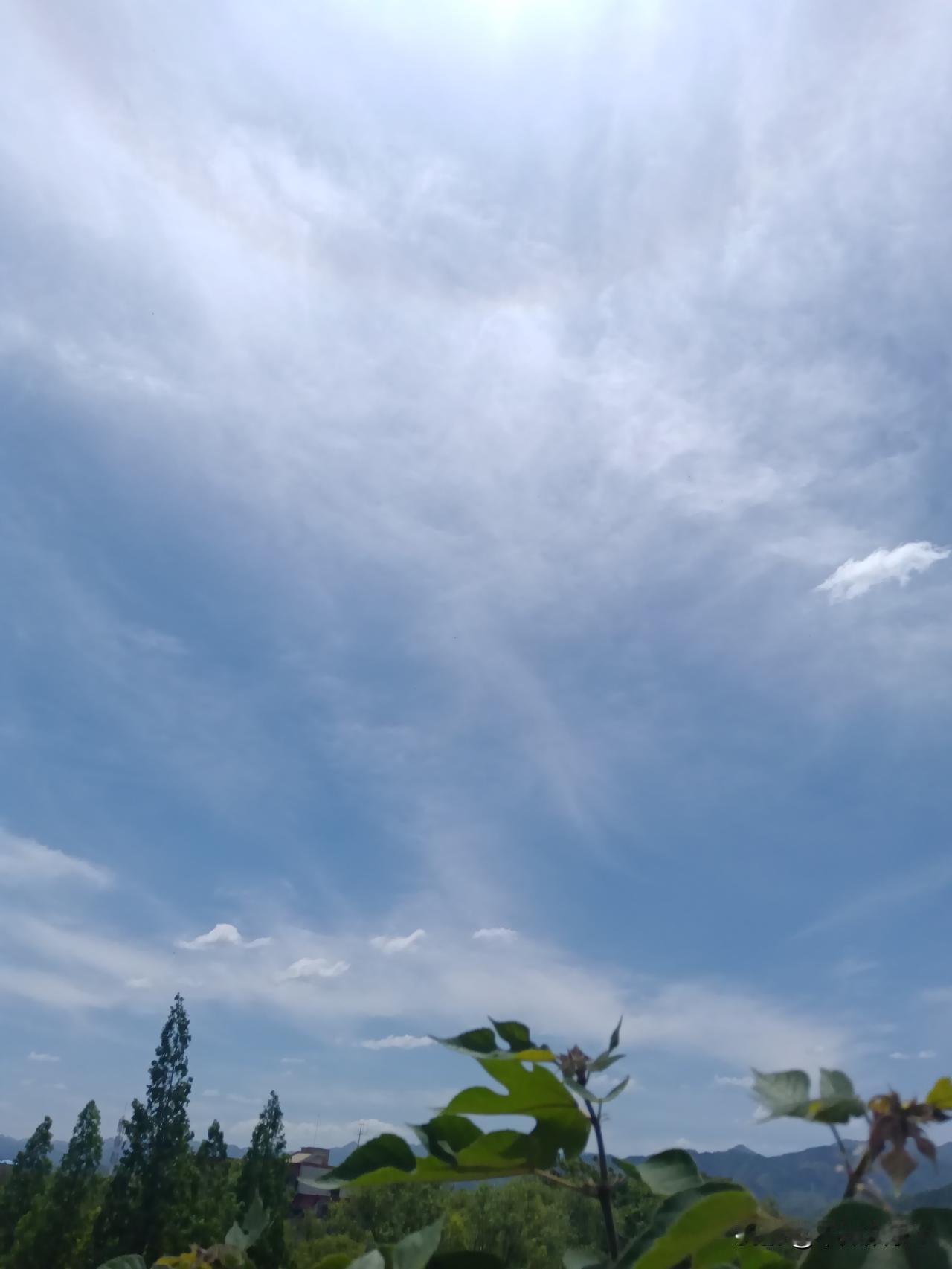 算是活明白了！

我一朋友，今年45岁，实现了财务自由，如今，回归故里，过起了乡