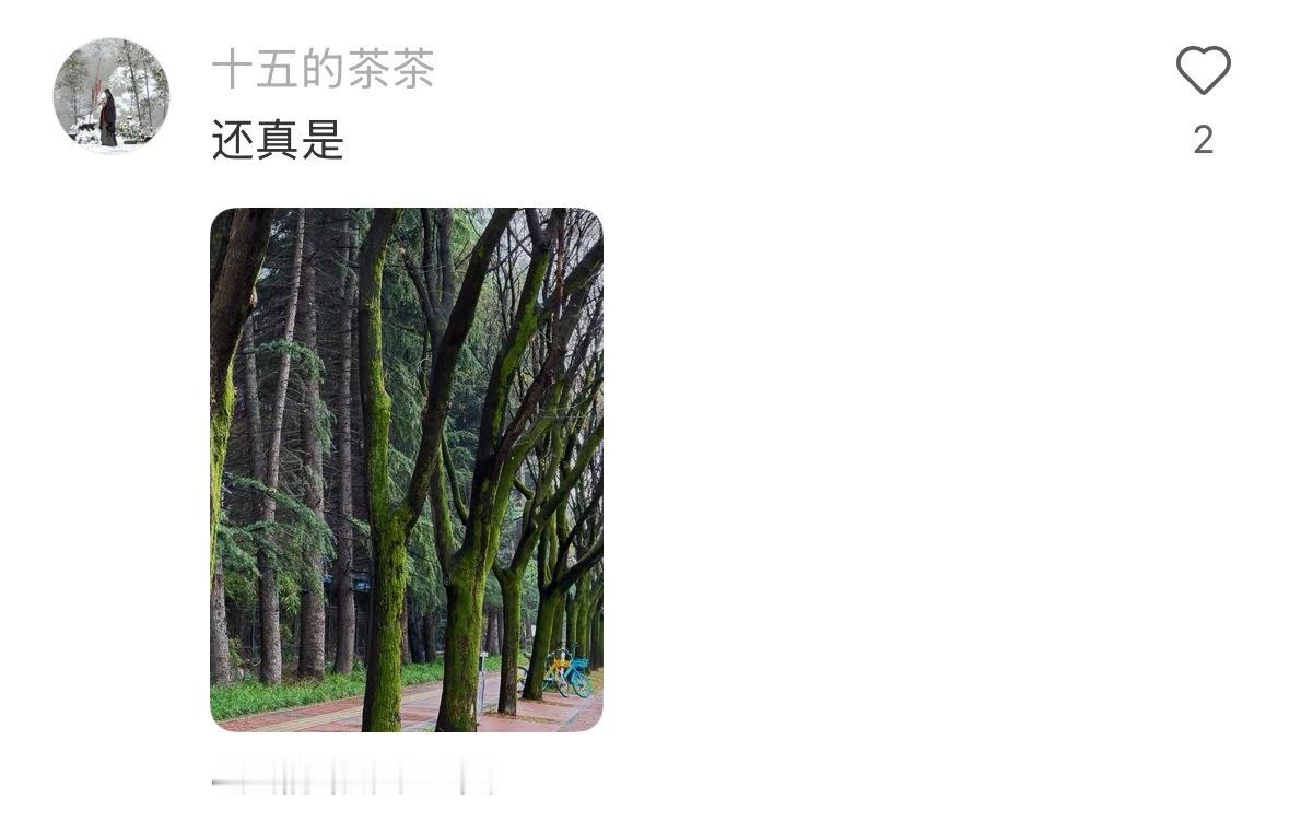 直观地感受西安的湿度 