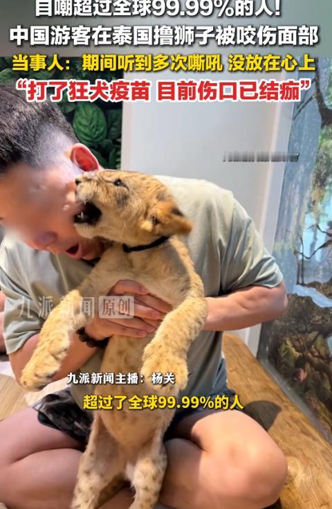 花钱找罪受！9月1日报道，中国游客梁先生在泰国清迈一家网红狮子咖啡馆花1299泰