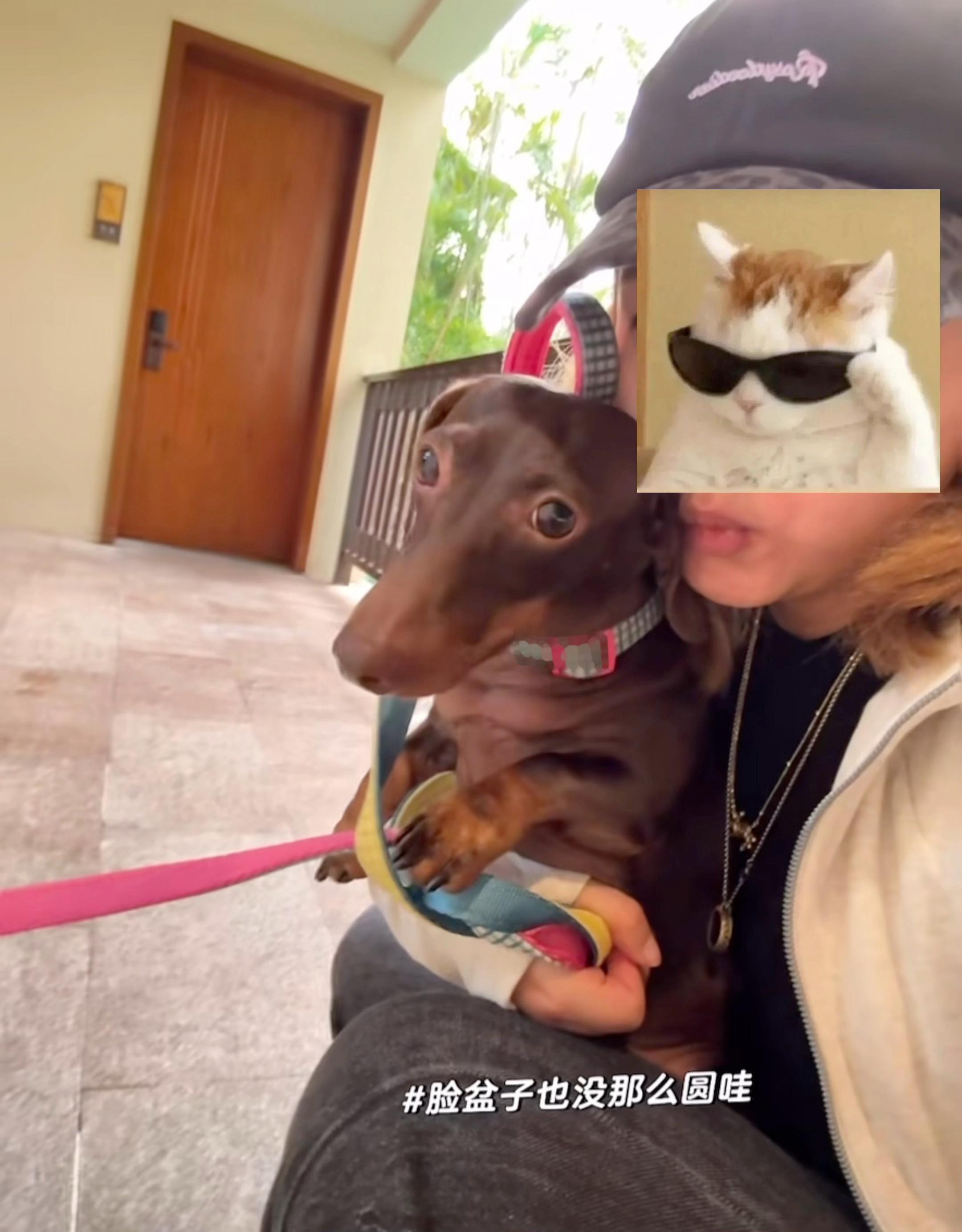 俺们doe小公主最近镜头感不错的啦