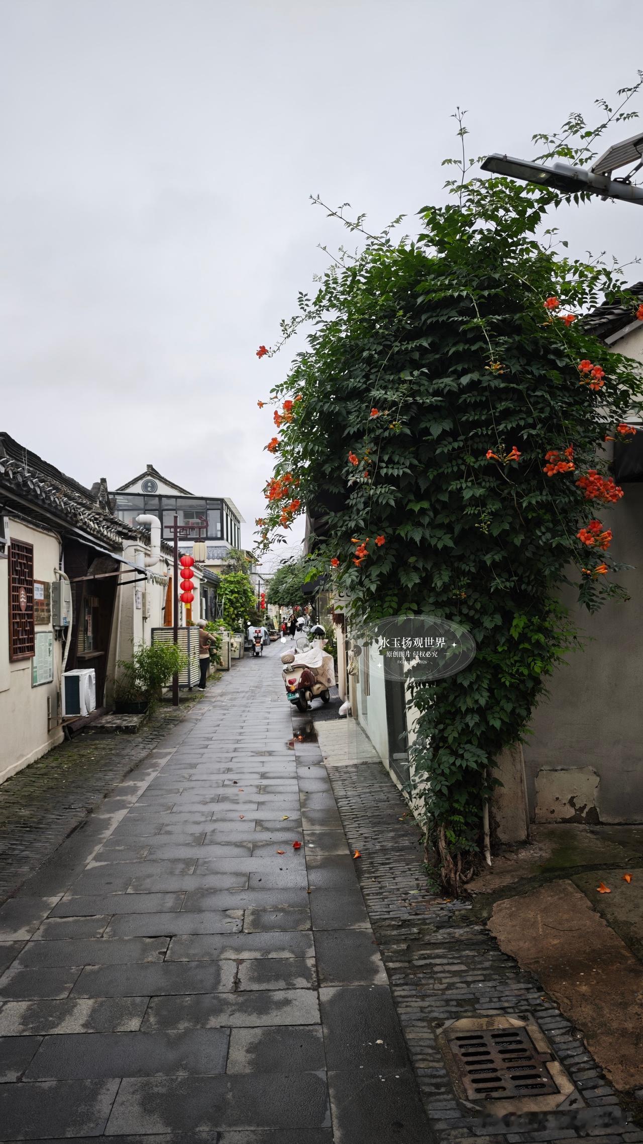 总以为江南古巷只藏茶馆旧铺、古玩老店，直到夜晚踏入泰州钟楼巷，才撞见古城最奇妙的