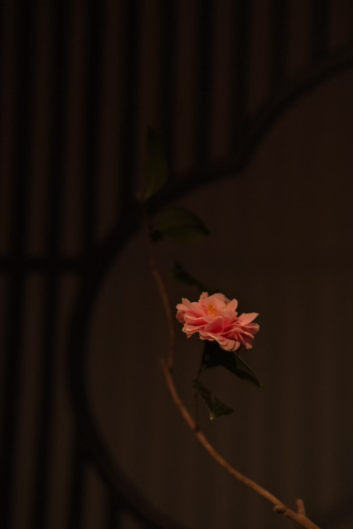 稳定的情绪，是一种养分，滋养自己，也治愈别人。 