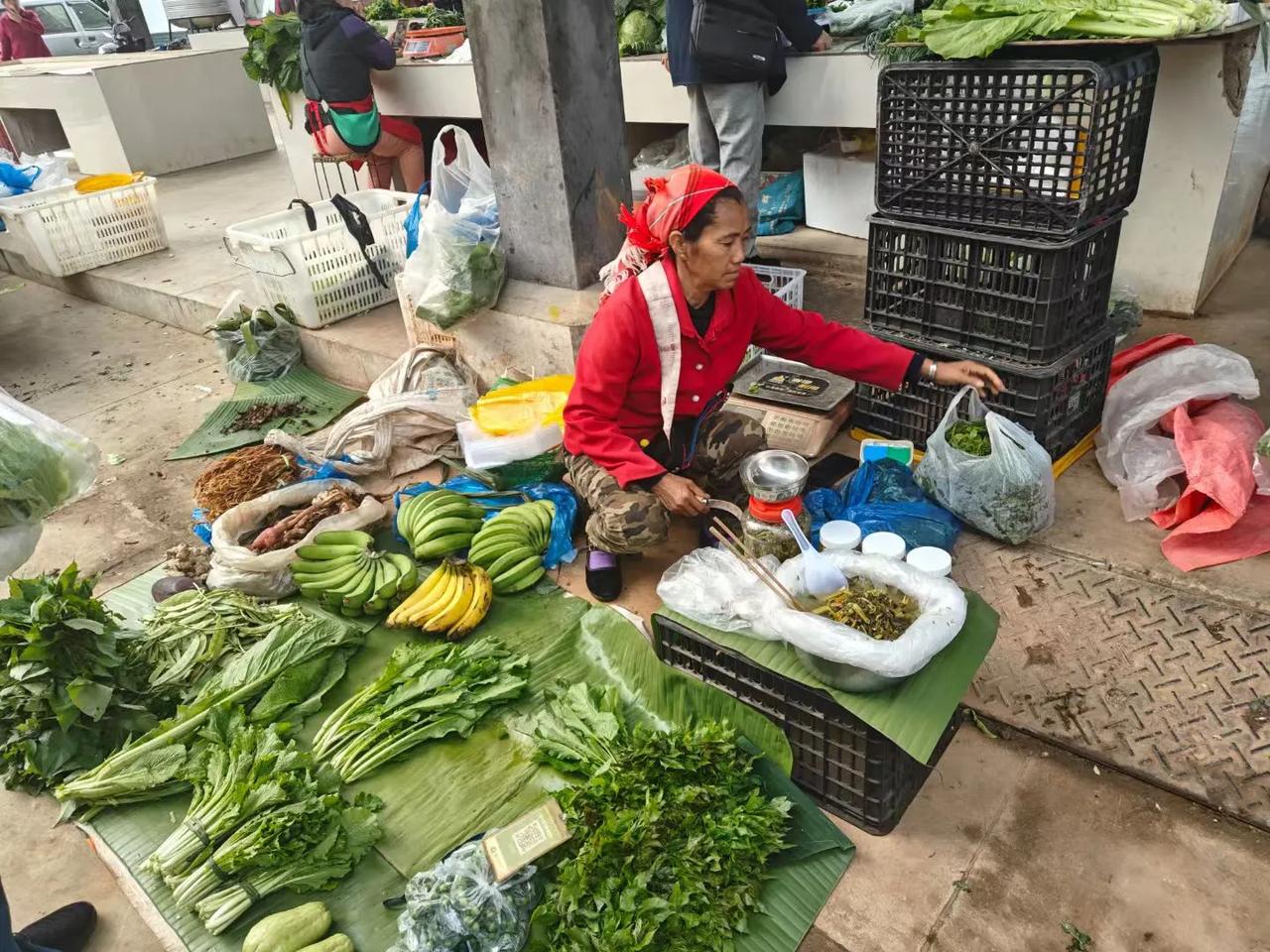 网友诸君，版纳的日子慢慢品，真的挺好的，小菜不错，比超市贵点，但是新鲜。两口人能