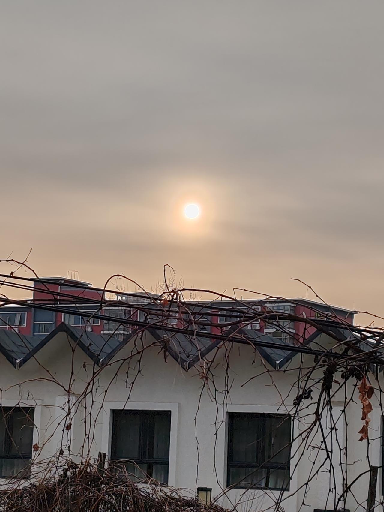 晒图笔记大赛实时随拍一一冬天的太陽，窗上的枯叶。