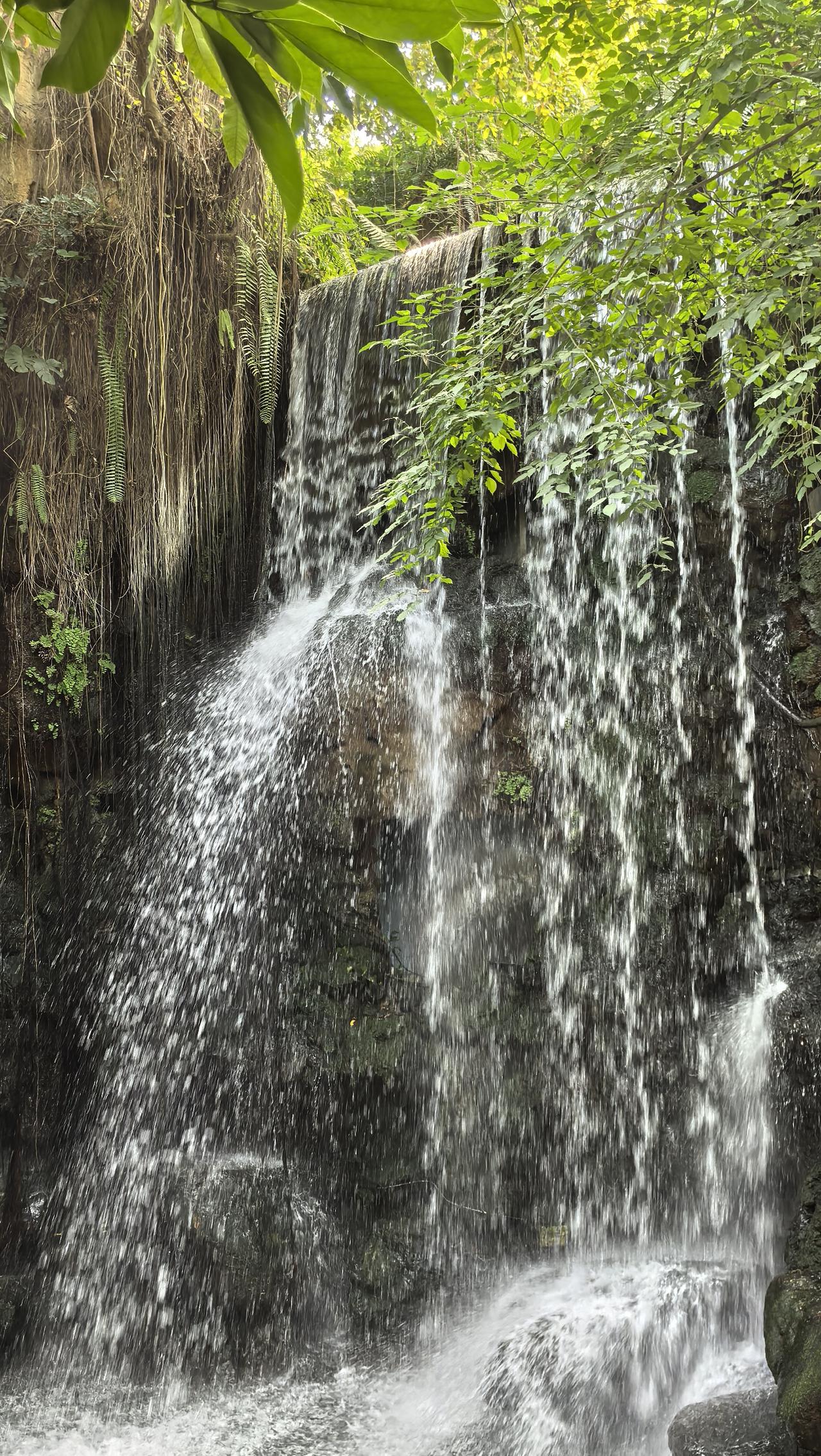 能否分享一下你所拍摄的瀑布照片