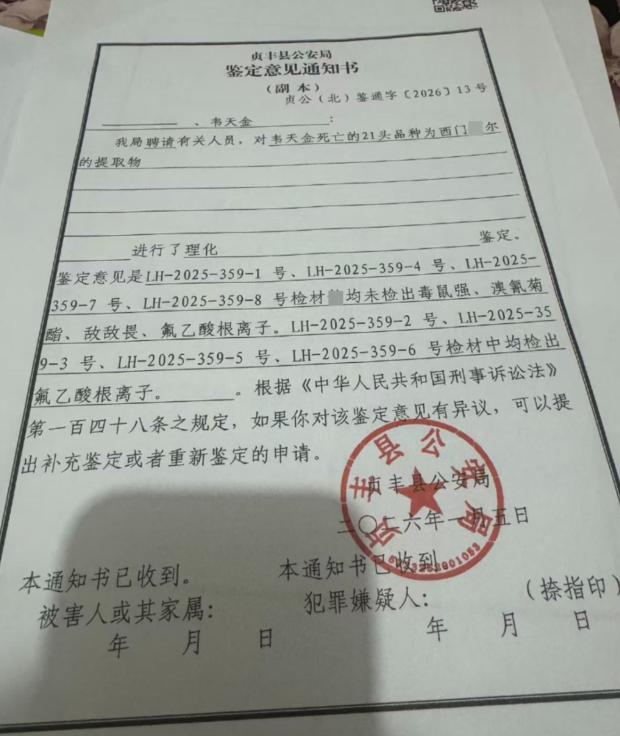 太离奇了！贵州一名 55 岁男子，贷款 20 多万买来 16 头牛，眼看养到可以