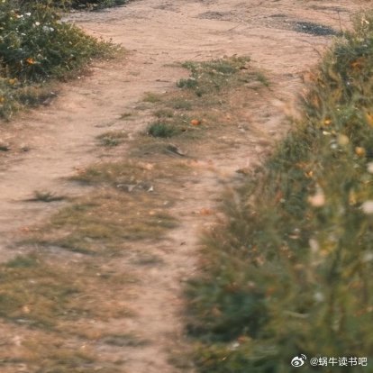 【7】我看着那条通往城里的小路，等着家珍来接我。—— 余华《活着》❤️ 感悟｜最