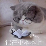 小鸾爱玩体育
