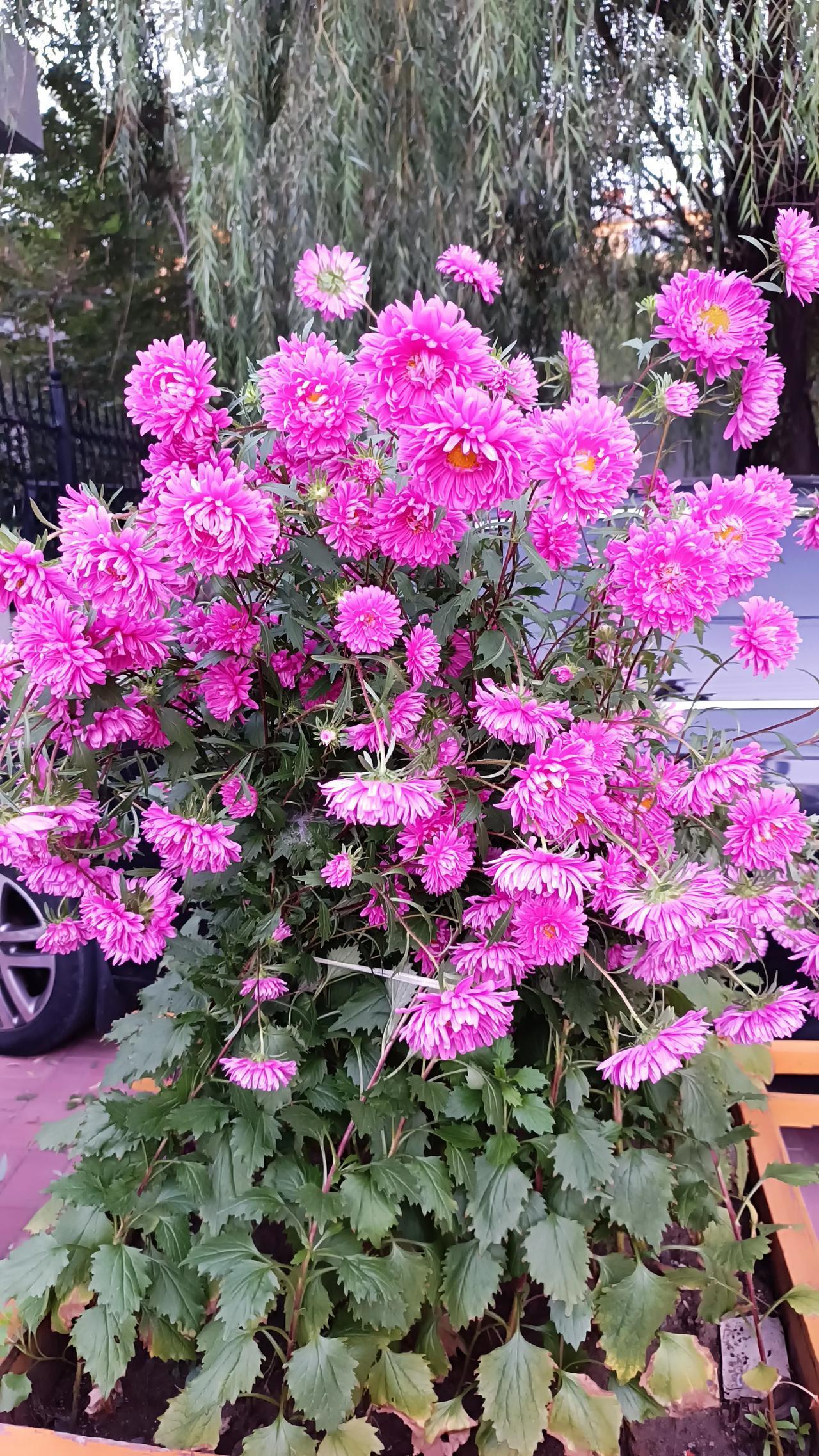上联：日日日，日升东海；诚邀下联花花花，花开春夏