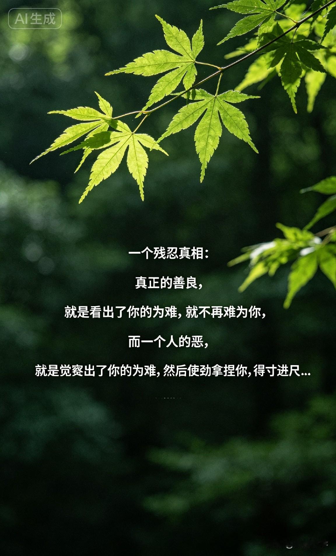 “真正的善良，是看出了你的为难，就不再难为你；而一个人的恶，就是觉察出了你的为难