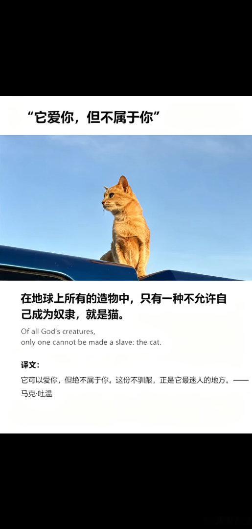观察生活，自有道理