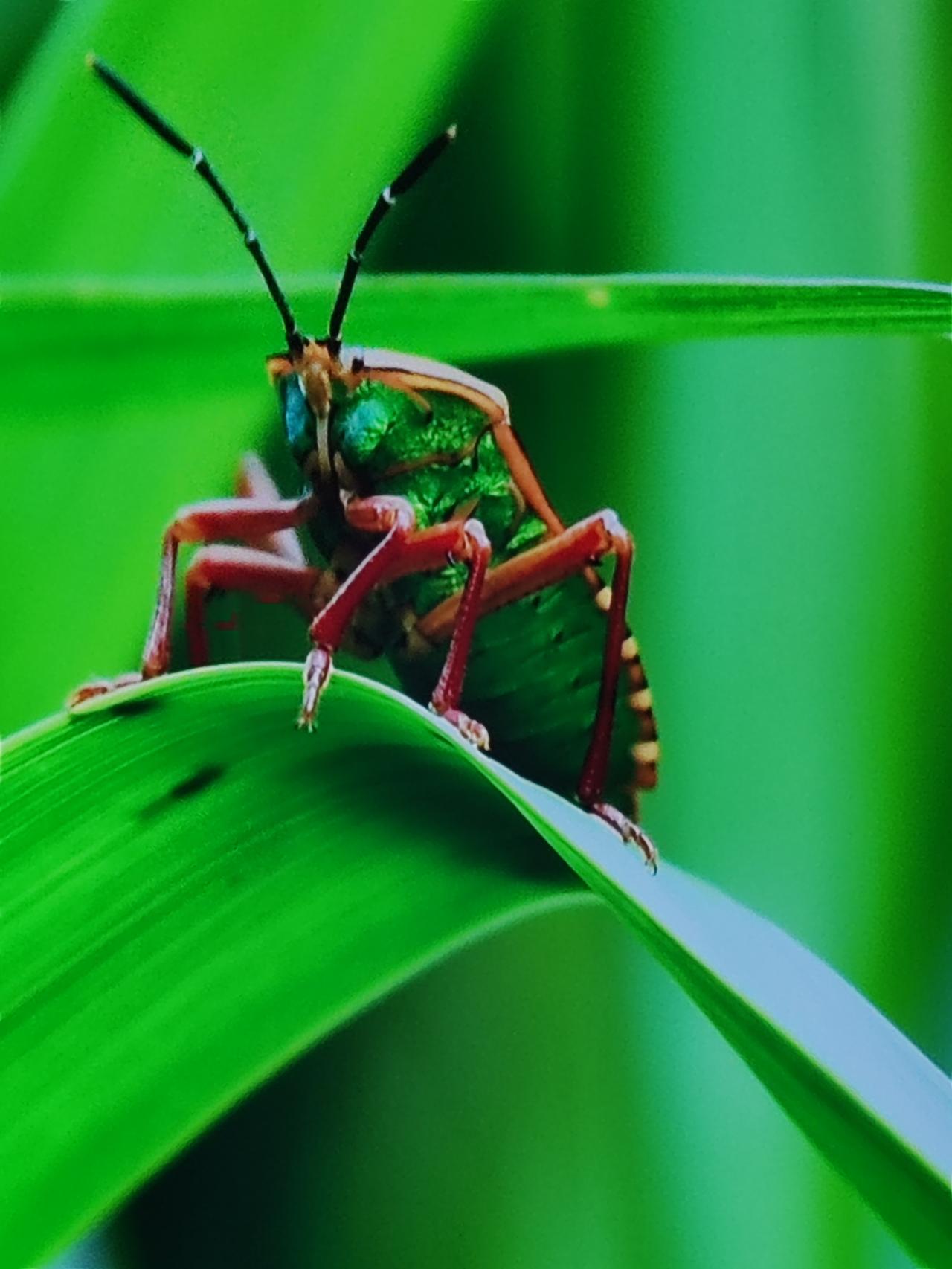 勤快、会过日子又珍惜晚年生活的男人，那简直是宝藏。我认识一位大爷，每天清晨就起来