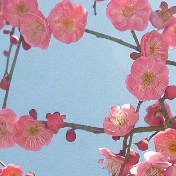 每日一善每日一善 阳光信用 放弃也许很容易，但坚持下去却能让自己更安心。人生就是