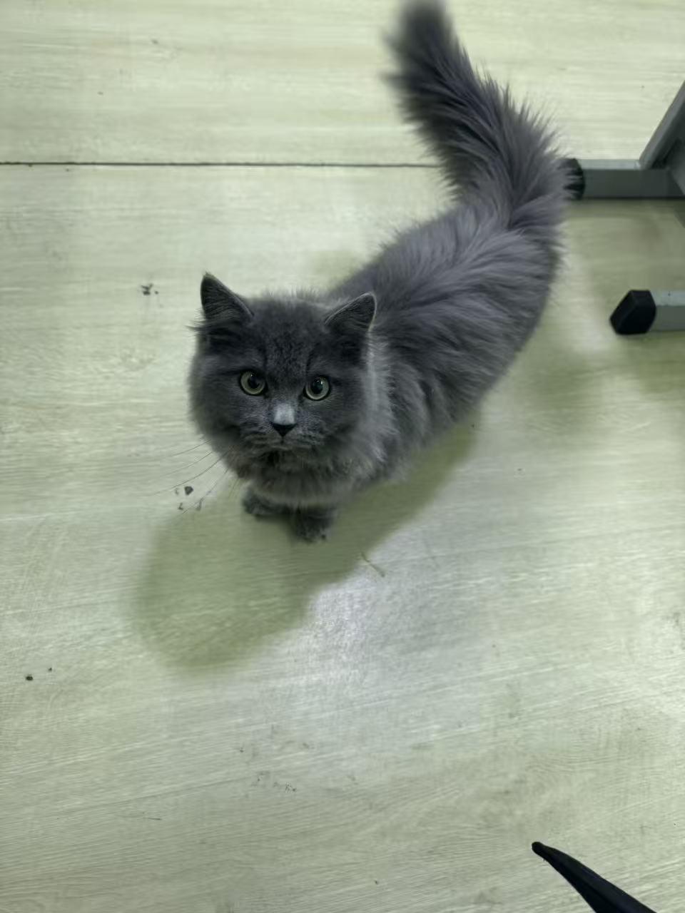 心怀感恩，所遇皆温柔！
心中有爱，看什么都是美好！