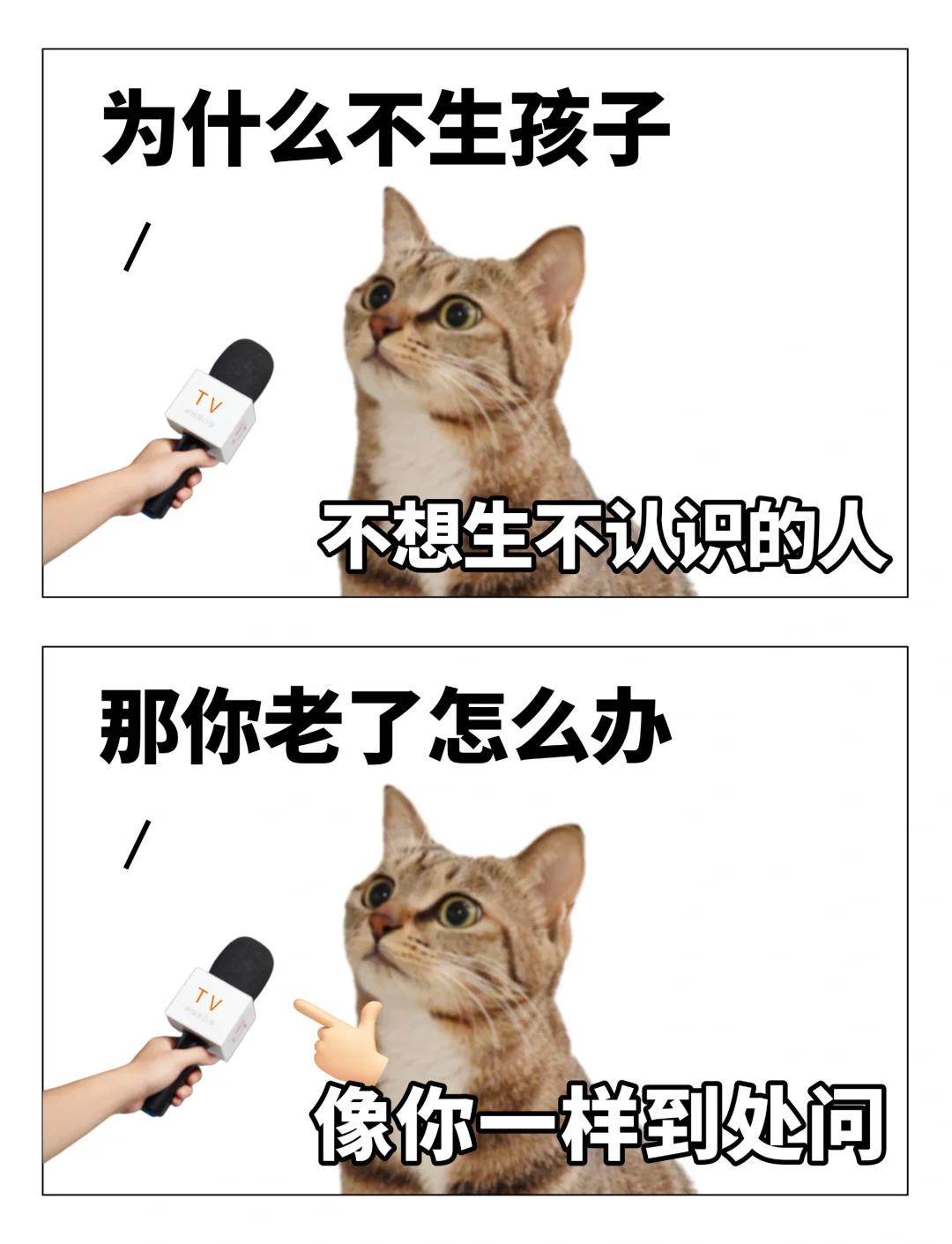 假期必备—已读乱回表情包